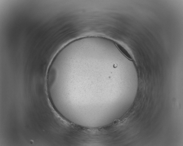 X0000073970911200609111739