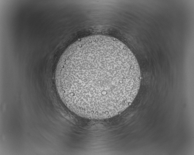 X0000073970913200609111738