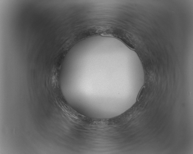 X0000073970914200609111738