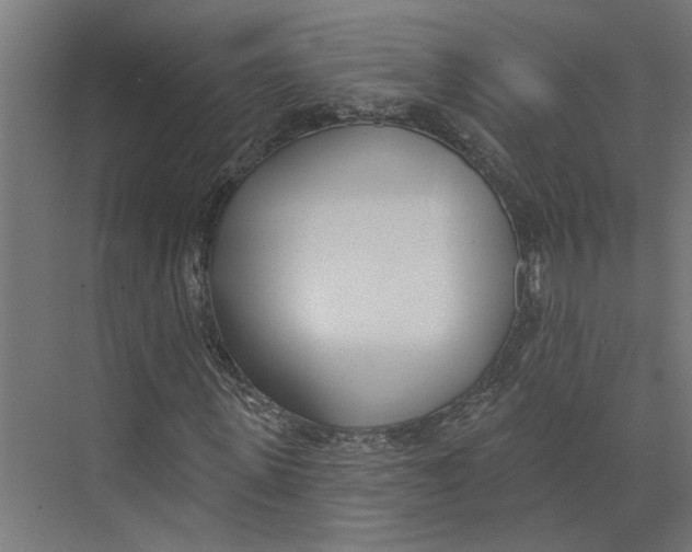 X0000073970915200609111738