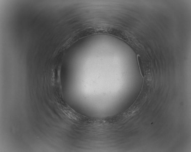 X0000073970916200609111738