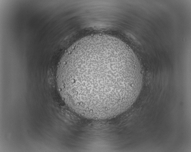 X0000073970917200609111738