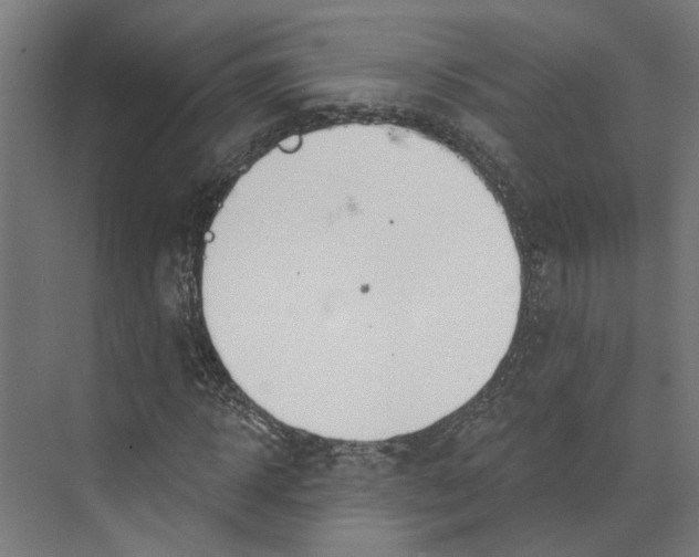 X0000073970918200609111738