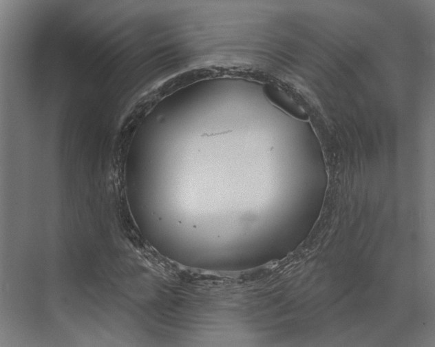 X0000073970920200609111738