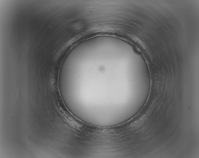 X0000073970922200609111738