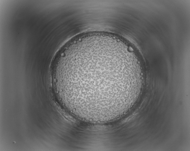 X0000073970925200609111738