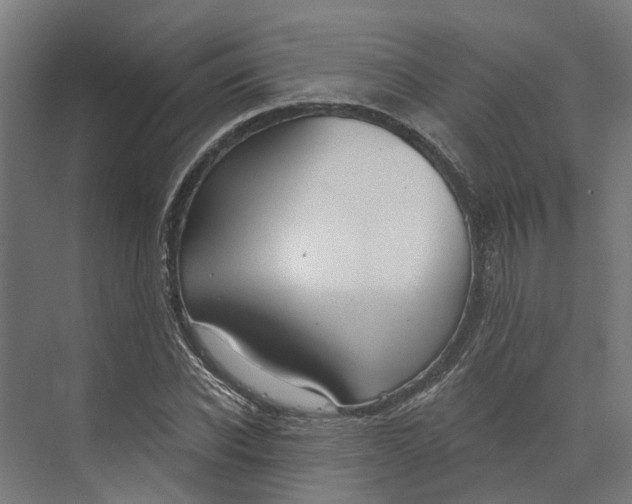 X0000073970926200609111738