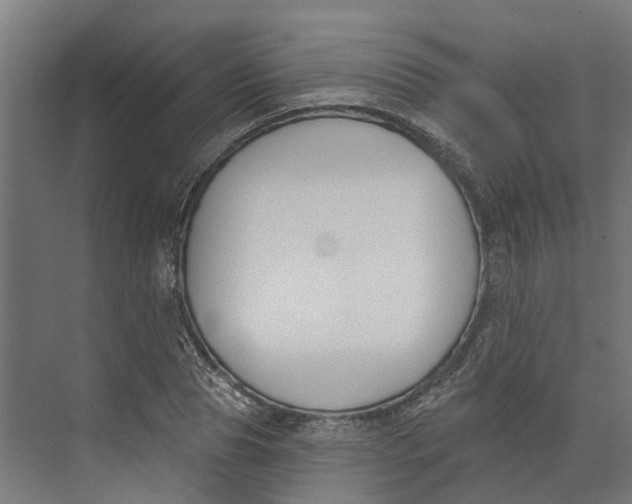 X0000073970929200609111738