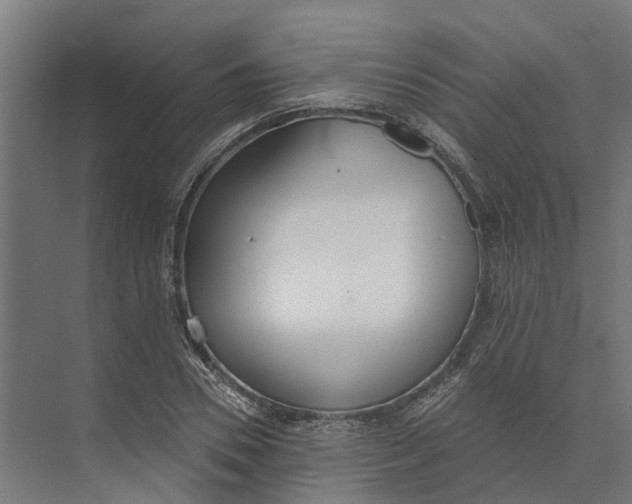 X0000073970930200609111738