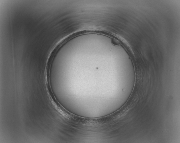 X0000073970935200609111738