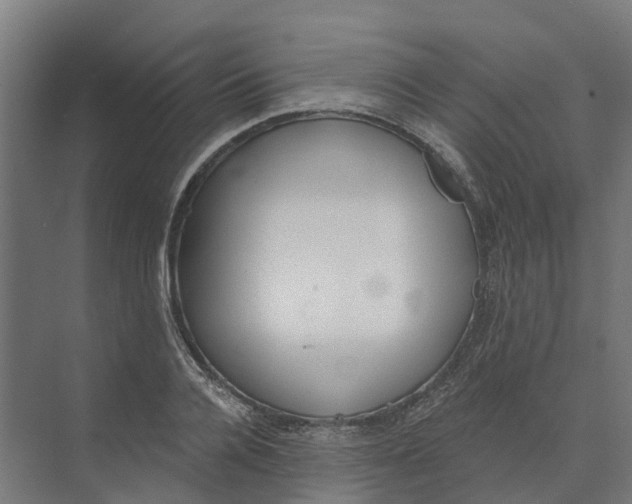 X0000073970936200609111738