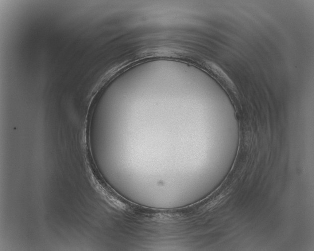 X0000073970938200609111738