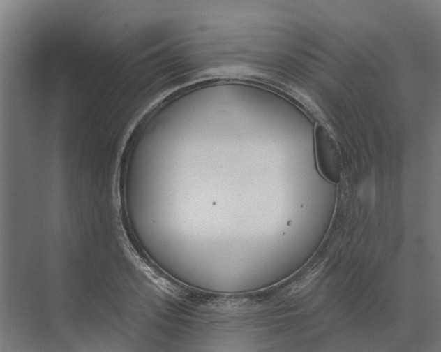 X0000073970939200609111738