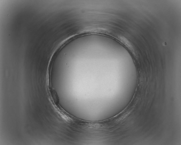 X0000073970940200609111738