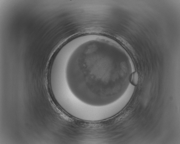 X0000073970941200609111738