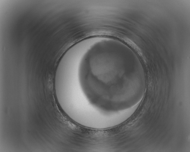 X0000073970945200609111738