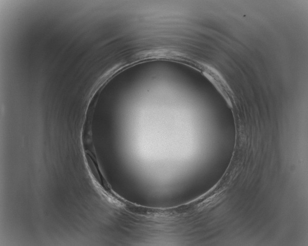 X0000073970946200609111738