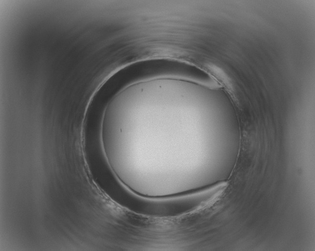 X0000073970948200609111738