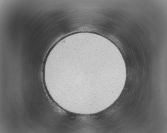 X0000073970950200609111738