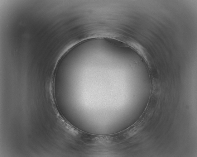 X0000073970952200609111738