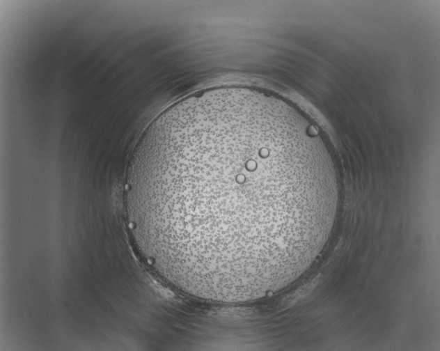 X0000073970953200609111738