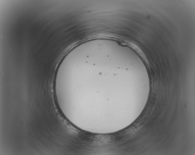 X0000073970954200609111738