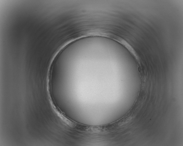 X0000073970955200609111738