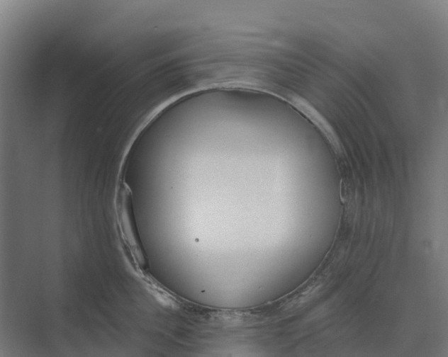 X0000073970956200609111738