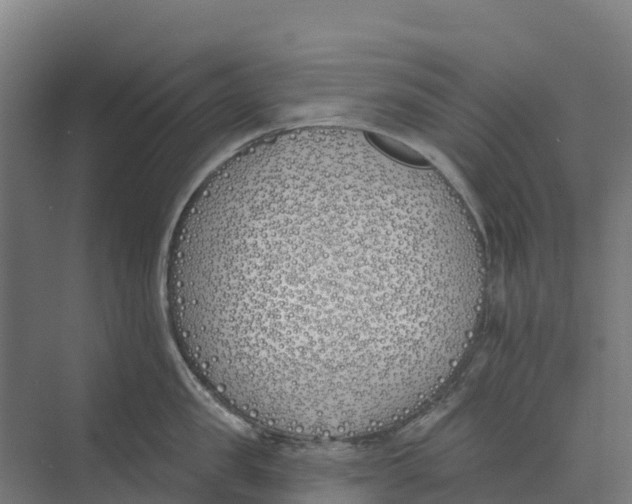 X0000073970957200609111739