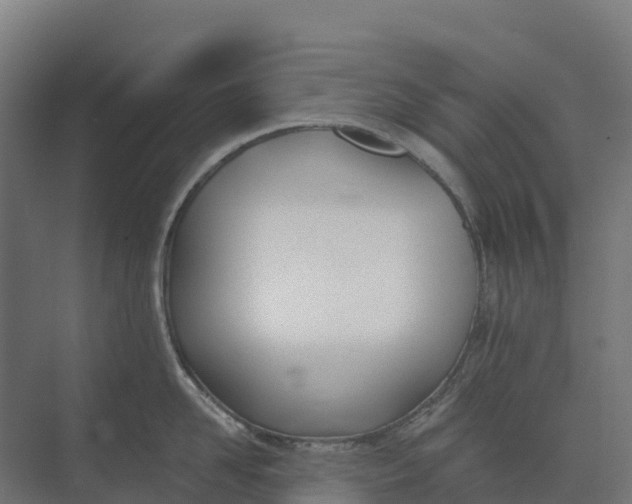 X0000073970958200609111739