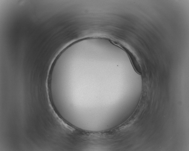 X0000073970959200609111739