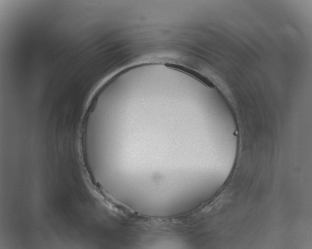 X0000073970960200609111739