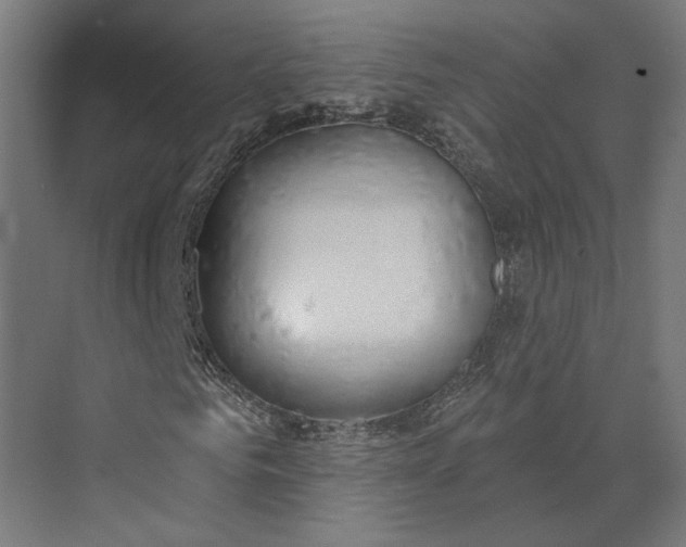 X0000073970961200609111738