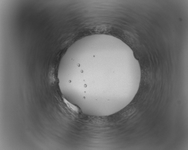 X0000073970962200609111738