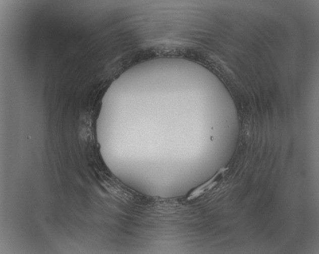 X0000073970964200609111738