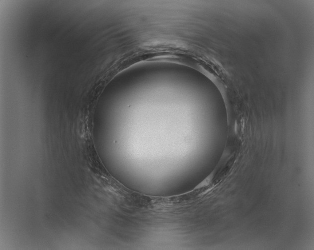 X0000073970965200609111738