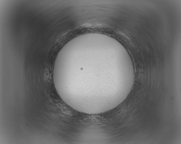 X0000073970966200609111738