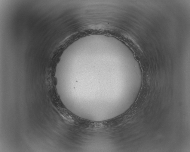 X0000073970968200609111738