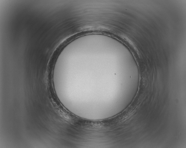 X0000073970975200609111738