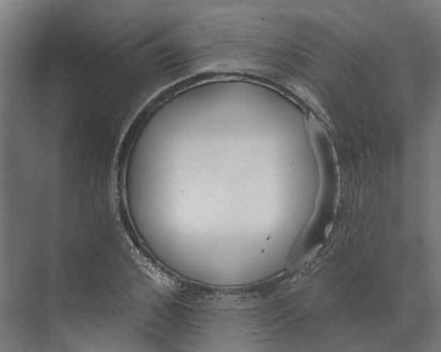 X0000073970976200609111737