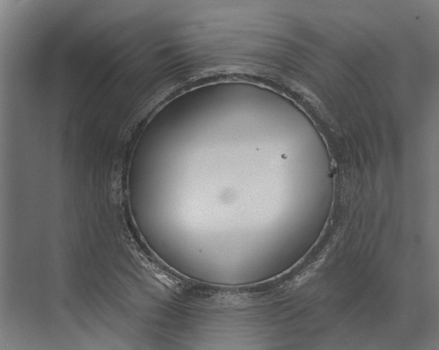 X0000073970977200609111737