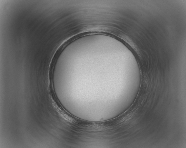 X0000073970980200609111737