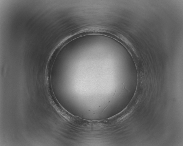 X0000073970981200609111737