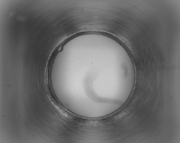 X0000073970982200609111737