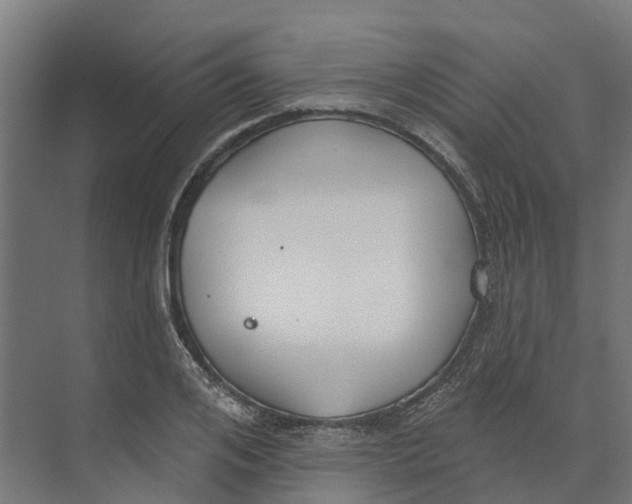 X0000073970984200609111737