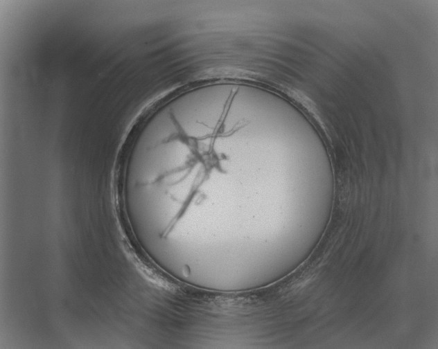 X0000073970987200609111737