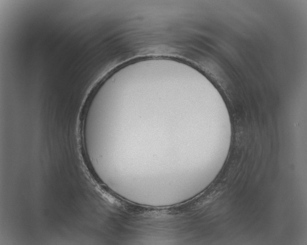 X0000073970990200609111737