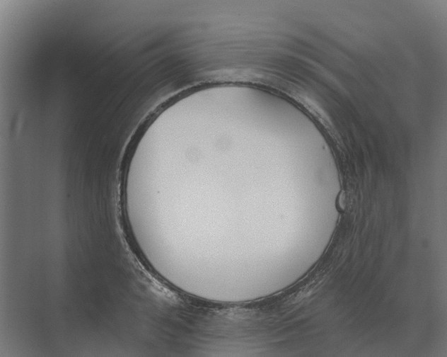 X0000073970992200609111737