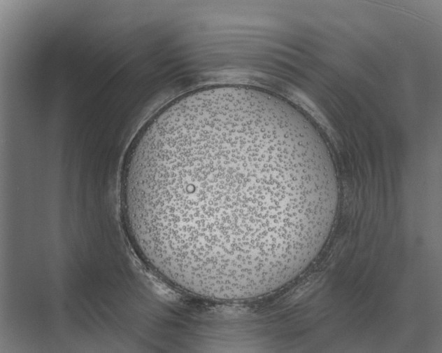 X0000073970994200609111737