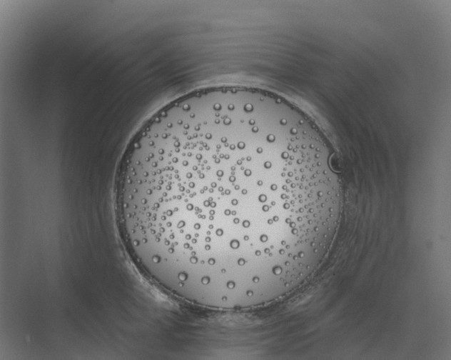 X0000073970998200609111737